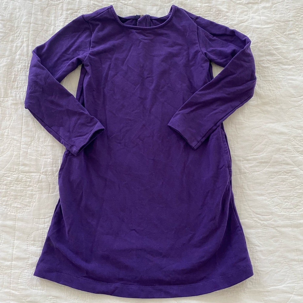 Primary Cozy Dress in Purple